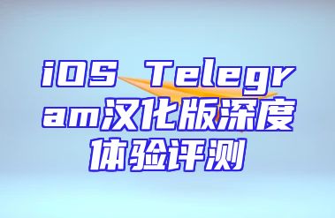 iOS Telegram汉化版深度体验评测