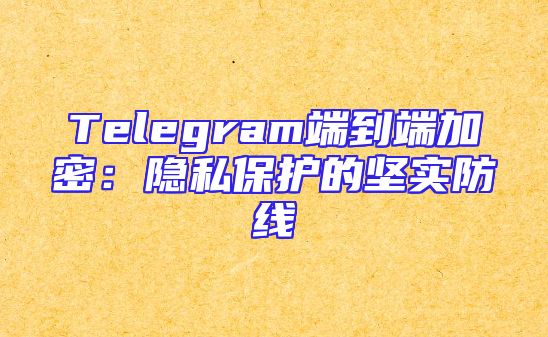 Telegram端到端加密：隐私保护的坚实防线