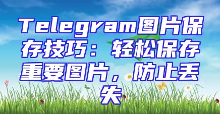 Telegram图片保存技巧：轻松保存重要图片，防止丢失