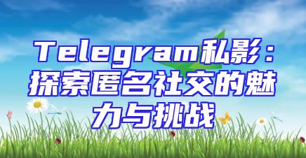 Telegram私影：探索匿名社交的魅力与挑战