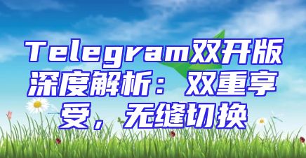 Telegram双开版深度解析：双重享受，无缝切换
