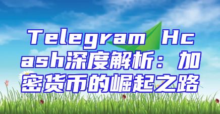 Telegram Hcash深度解析：加密货币的崛起之路