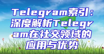 Telegram索引：深度解析Telegram在社交领域的应用与优势