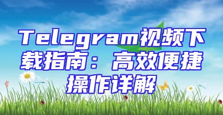 Telegram视频下载指南：高效便捷操作详解