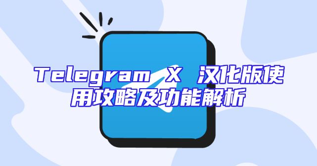 Telegram X 汉化版使用攻略及功能解析