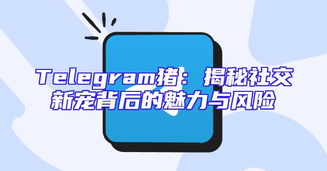 Telegram猪：揭秘社交新宠背后的魅力与风险