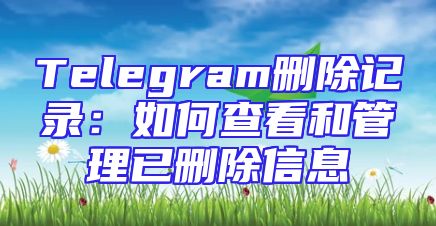 Telegram删除记录：如何查看和管理已删除信息