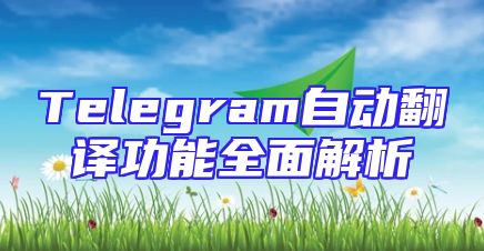 Telegram自动翻译功能全面解析