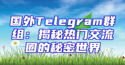 国外Telegram群组：揭秘热门交流圈的秘密世界