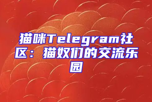 猫咪Telegram社区：猫奴们的交流乐园