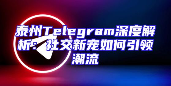 泰州Telegram深度解析：社交新宠如何引领潮流