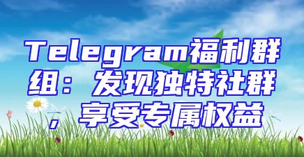 Telegram福利群组：发现独特社群，享受专属权益