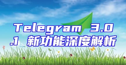 Telegram 3.0.1 新功能深度解析