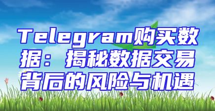 Telegram购买数据：揭秘数据交易背后的风险与机遇