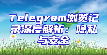 Telegram浏览记录深度解析：隐私与安全