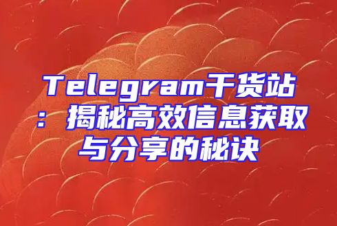 Telegram干货站：揭秘高效信息获取与分享的秘诀