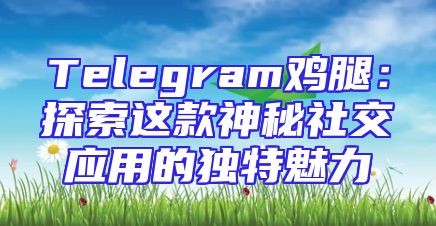 Telegram鸡腿：探索这款神秘社交应用的独特魅力