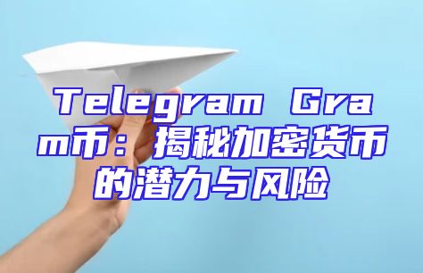Telegram Gram币：揭秘加密货币的潜力与风险