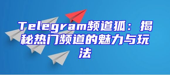 Telegram频道狐：揭秘热门频道的魅力与玩法