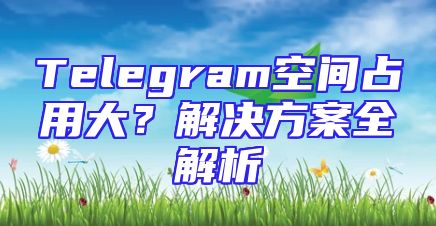 Telegram空间占用大？解决方案全解析