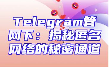 Telegram管网下：揭秘匿名网络的秘密通道