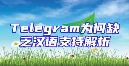 Telegram为何缺乏汉语支持解析