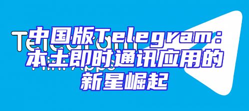中国版Telegram：本土即时通讯应用的新星崛起