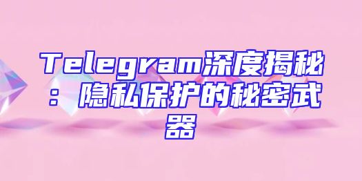 Telegram深度揭秘：隐私保护的秘密武器