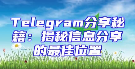 Telegram分享秘籍：揭秘信息分享的最佳位置