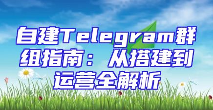 自建Telegram群组指南：从搭建到运营全解析