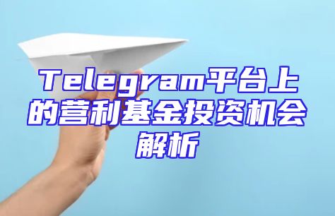 Telegram平台上的营利基金投资机会解析