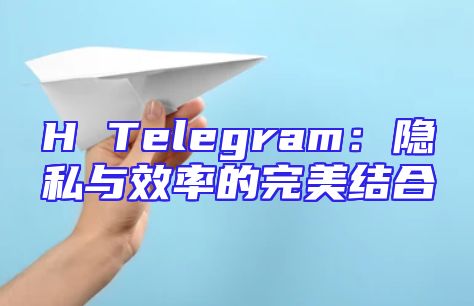 H Telegram：隐私与效率的完美结合