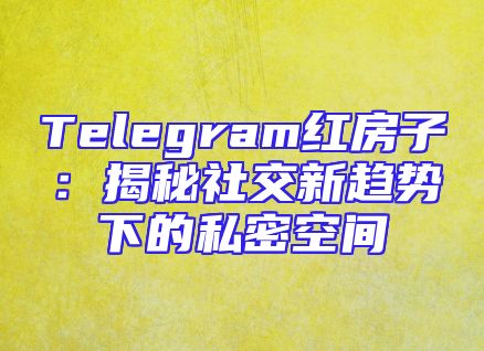 Telegram红房子：揭秘社交新趋势下的私密空间