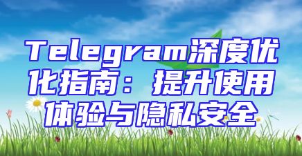 Telegram深度优化指南：提升使用体验与隐私安全