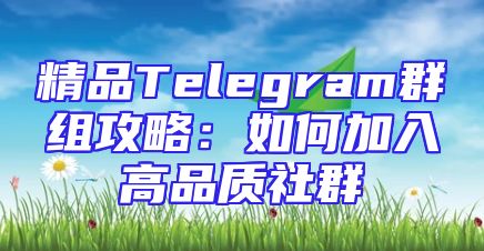 精品Telegram群组攻略：如何加入高品质社群