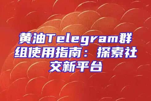 黄油Telegram群组使用指南：探索社交新平台