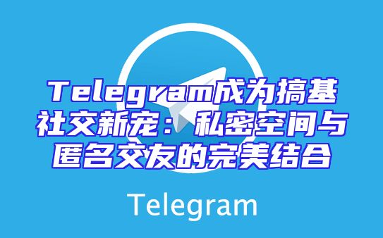 Telegram成为搞基社交新宠：私密空间与匿名交友的完美结合