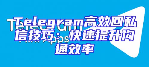 Telegram高效回私信技巧：快速提升沟通效率