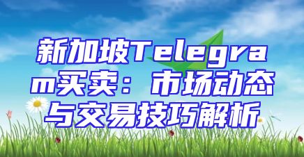 新加坡Telegram买卖：市场动态与交易技巧解析