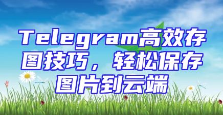 Telegram高效存图技巧，轻松保存图片到云端