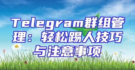 Telegram群组管理：轻松踢人技巧与注意事项