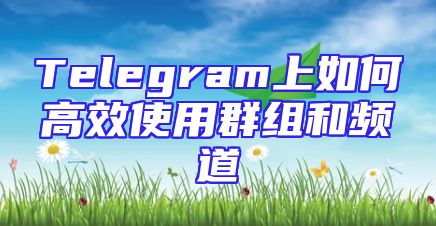 Telegram上如何高效使用群组和频道