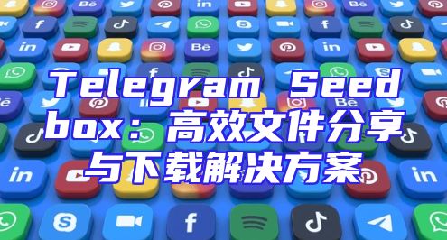 Telegram Seedbox：高效文件分享与下载解决方案