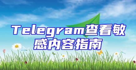 Telegram查看敏感内容指南