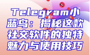 Telegram小蓝鸟：揭秘这款社交软件的独特魅力与使用技巧