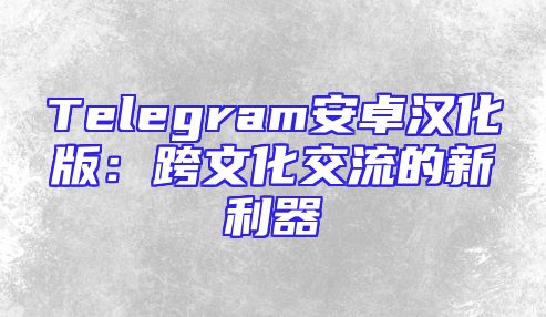 Telegram安卓汉化版：跨文化交流的新利器