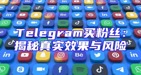 Telegram买粉丝：揭秘真实效果与风险