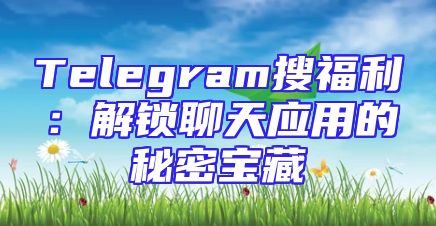 Telegram搜福利：解锁聊天应用的秘密宝藏