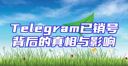 Telegram已销号背后的真相与影响