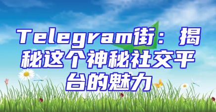 Telegram街：揭秘这个神秘社交平台的魅力